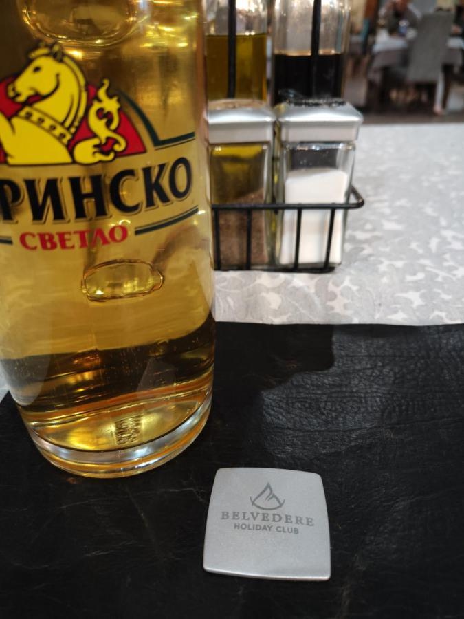 Bansko Belvedere Apartament Buitenkant foto